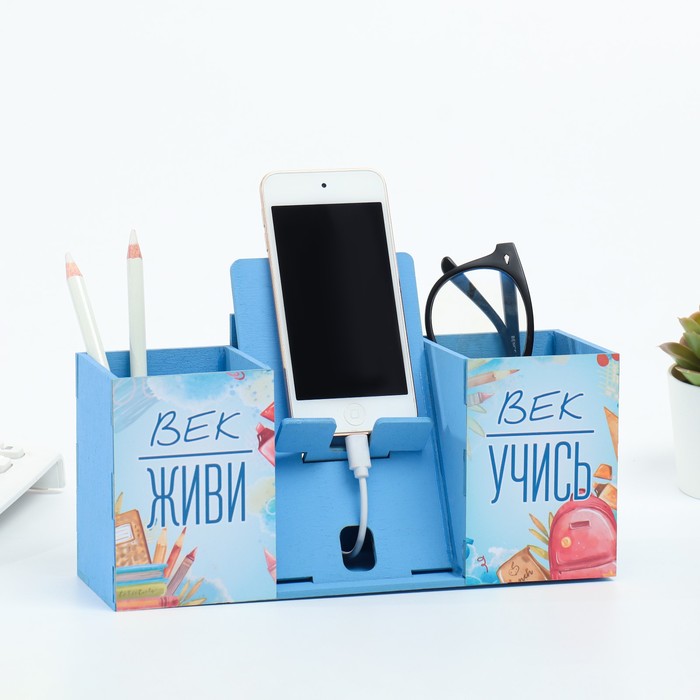 Органайзер для канцелярии с подставкой под телефон «Век живи, век учись», 23×9×14 см