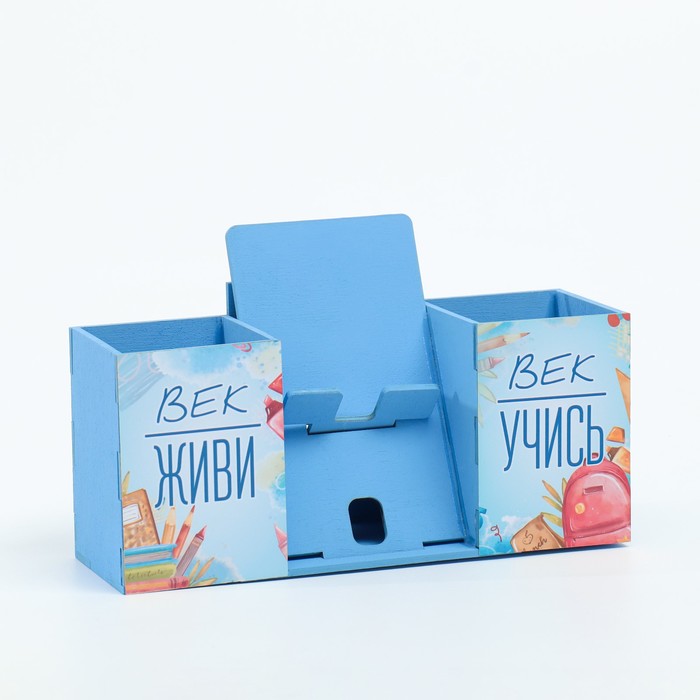 Органайзер для канцелярии с подставкой под телефон «Век живи, век учись», 23×9×14 см